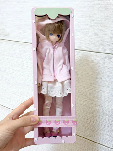 ［推し活グッズ］3Dプリント 特1/6 azone BJD ドール ケース【IRSD6Q】
